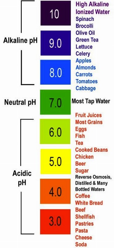 Kangen Water Ph Chart